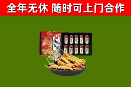 凌海市回收冬虫夏草价格